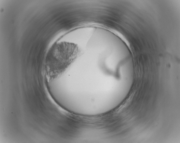 X0000073751007200608311930