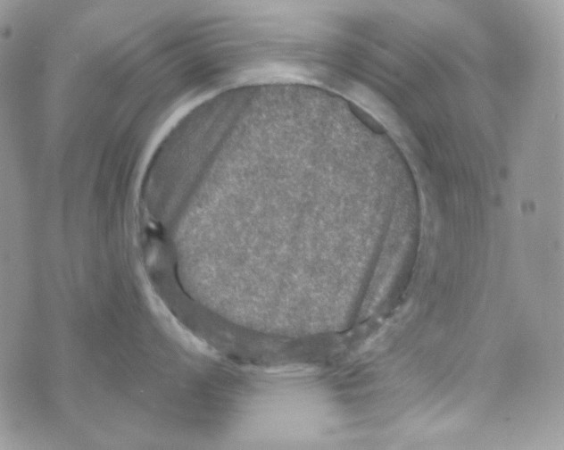 X0000073751008200608311930