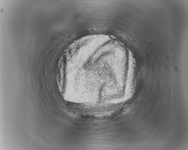 X0000073751009200608311929