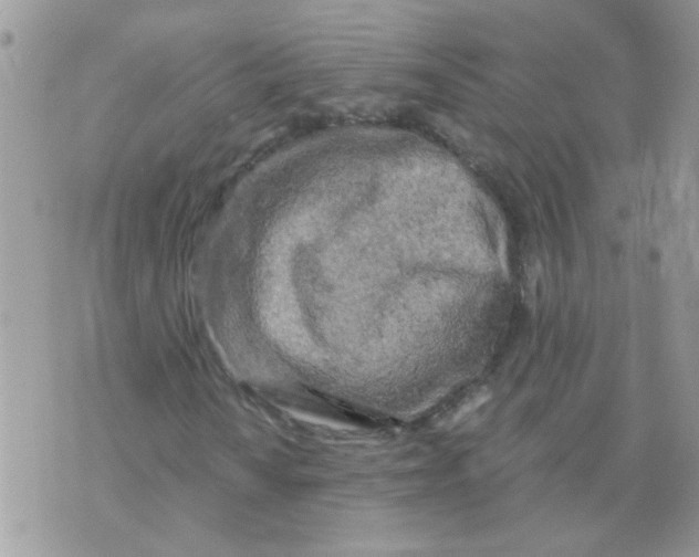 X0000073751010200608311930