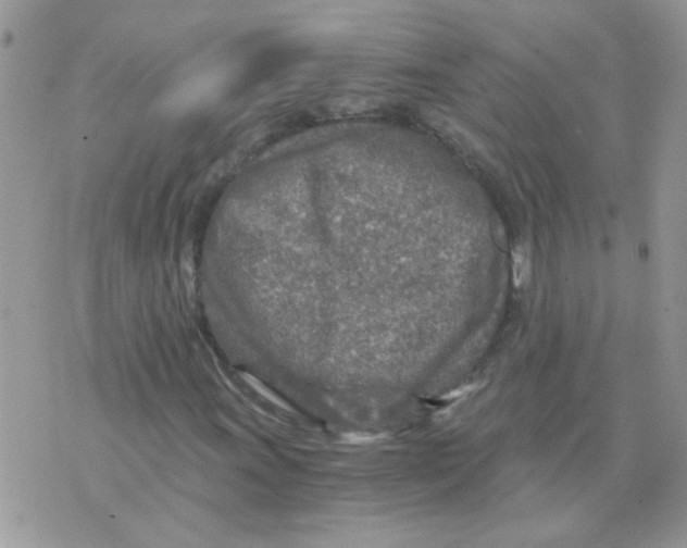 X0000073751011200608311930