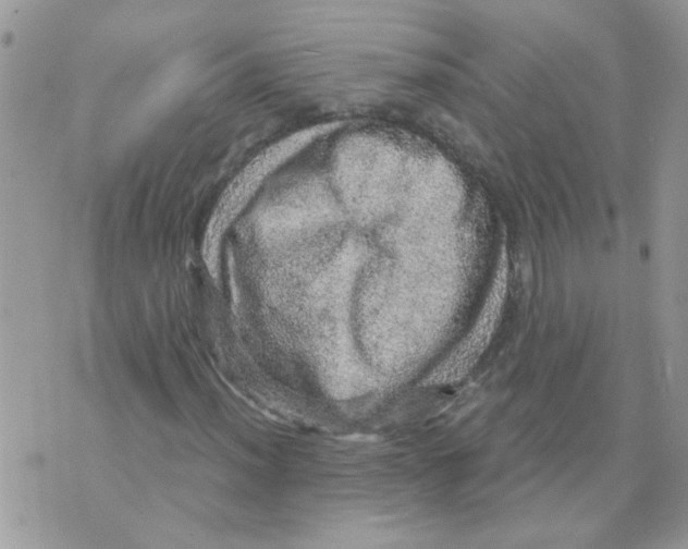 X0000073751012200608311930