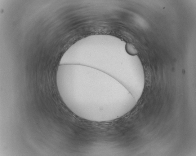 X0000073751013200608311930