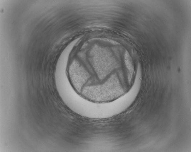 X0000073751014200608311930