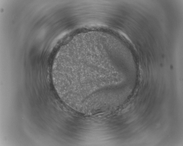 X0000073751016200608311930