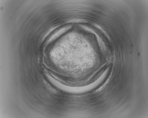 X0000073751017200608311930