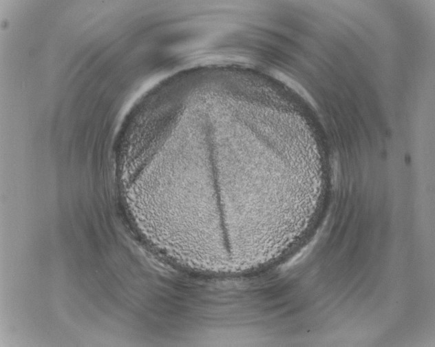 X0000073751021200608311930