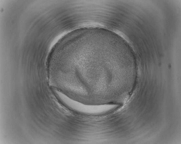 X0000073751022200608311930