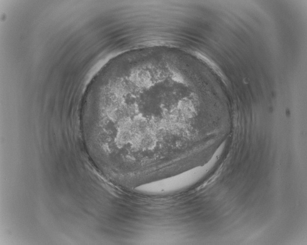 X0000073751023200608311930