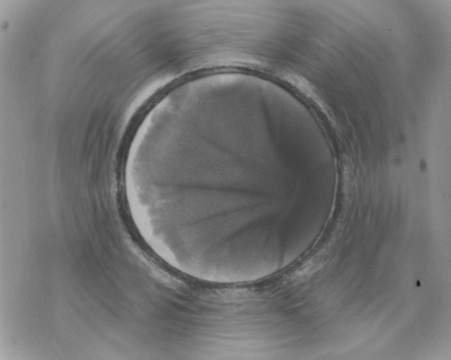 X0000073751024200608311930