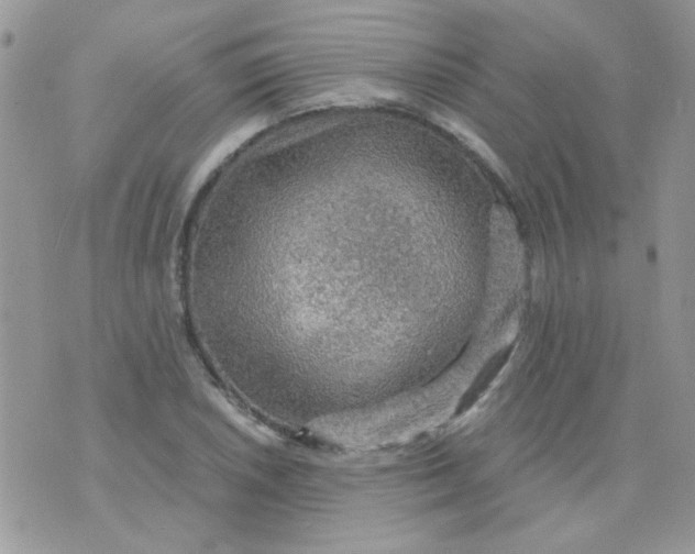 X0000073751026200608311930