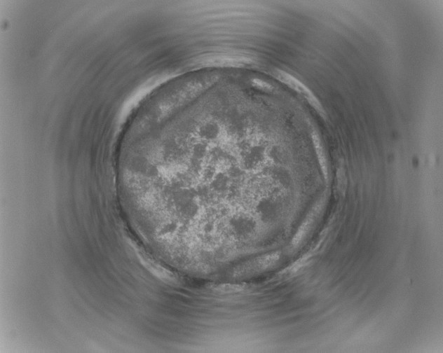 X0000073751027200608311930