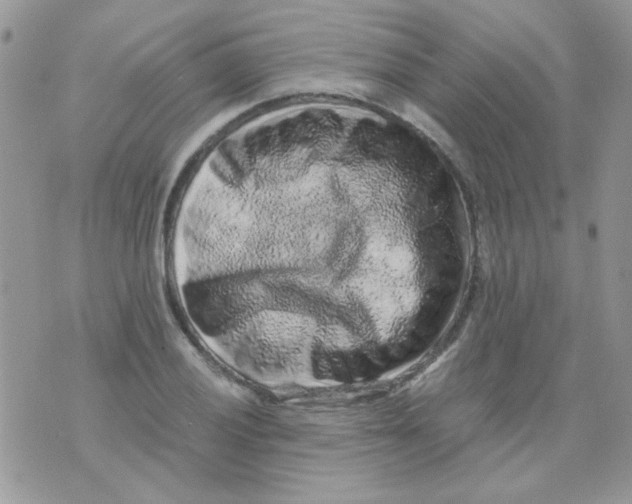 X0000073751028200608311930