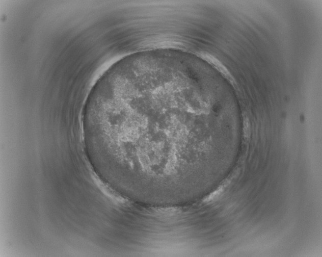 X0000073751031200608311930