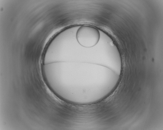 X0000073751032200608311930