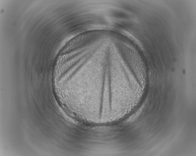 X0000073751033200608311930