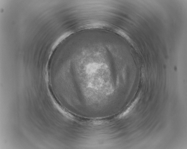 X0000073751034200608311930