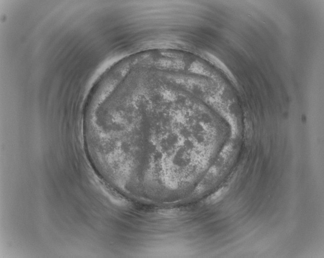 X0000073751035200608311930