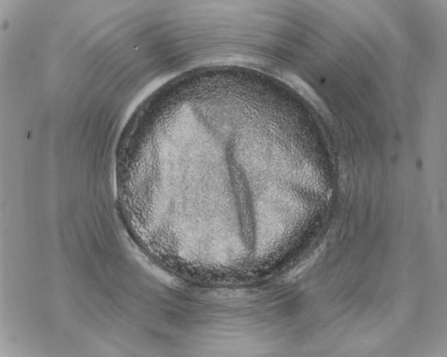 X0000073751036200608311930