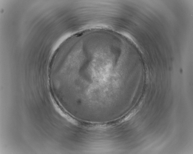 X0000073751038200608311930