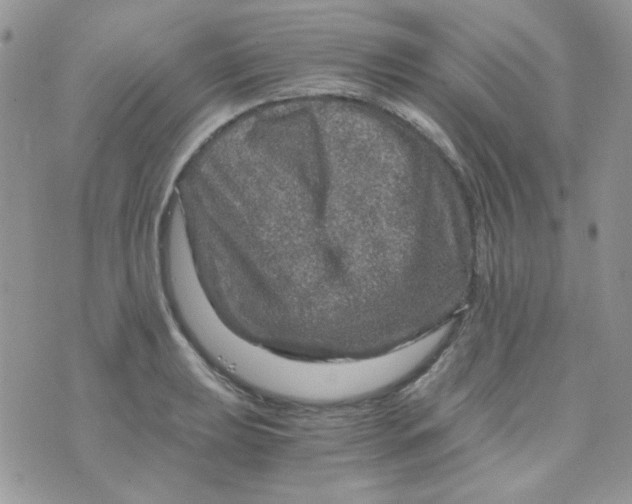 X0000073751039200608311930