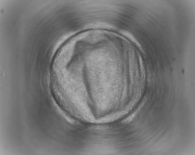 X0000073751040200608311930