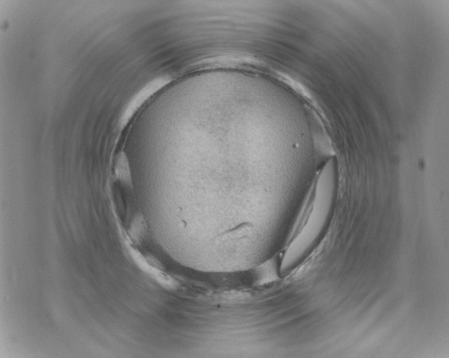 X0000073751042200608311930