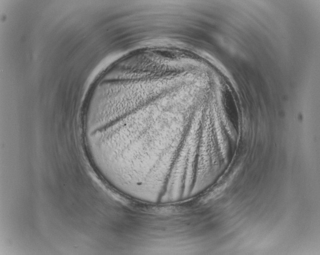 X0000073751045200608311930