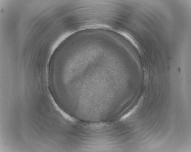 X0000073751046200608311930