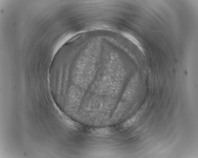 X0000073751047200608311930