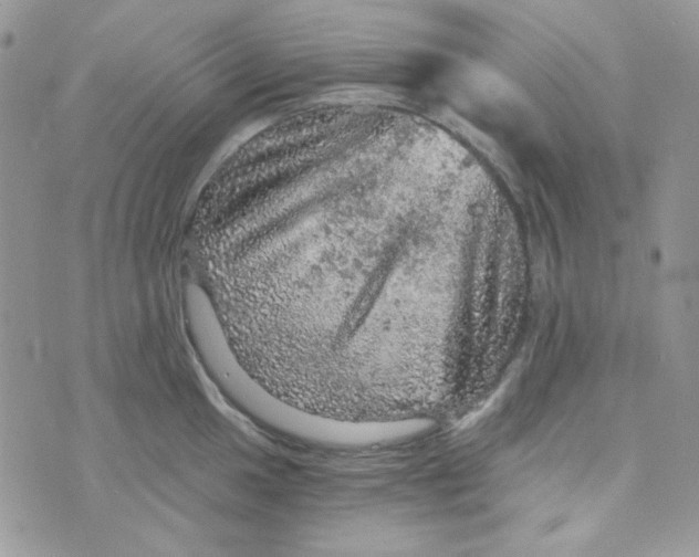 X0000073751049200608311930