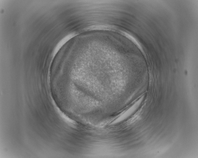 X0000073751050200608311930