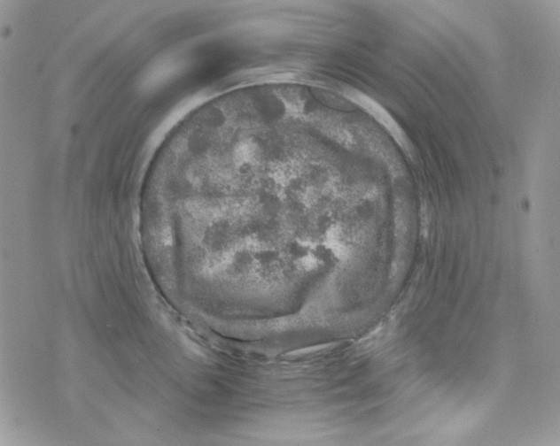 X0000073751051200608311930