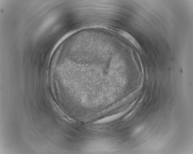 X0000073751052200608311930