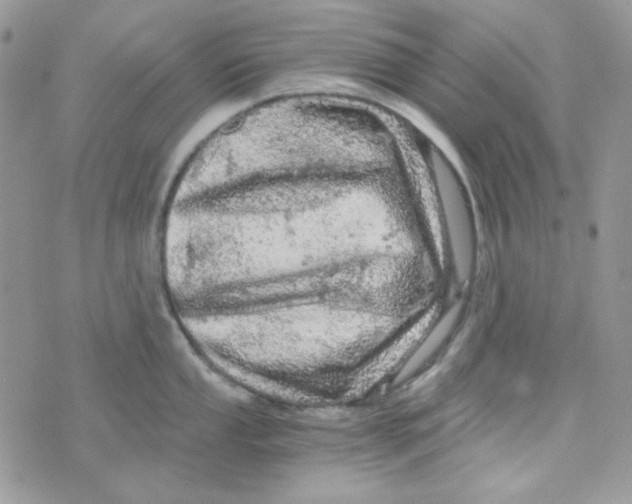 X0000073751053200608311930