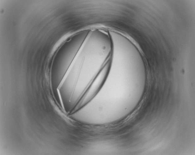 X0000073751054200608311930