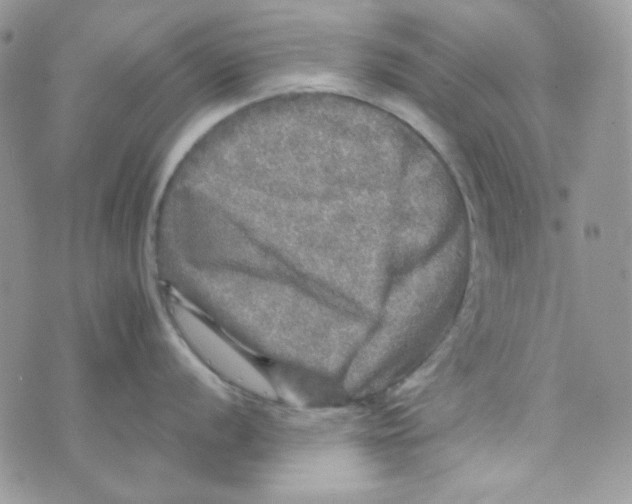 X0000073751056200608311930