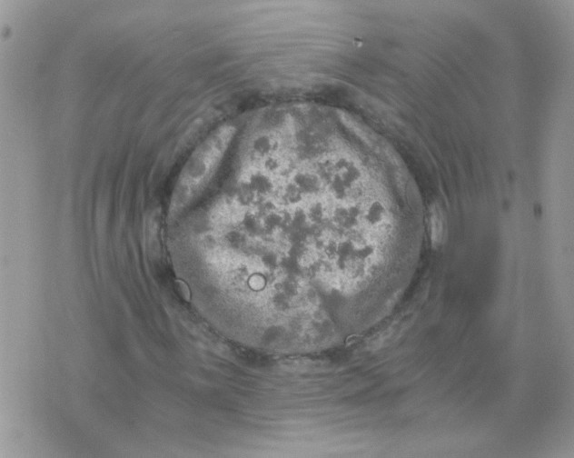 X0000073751059200608311929