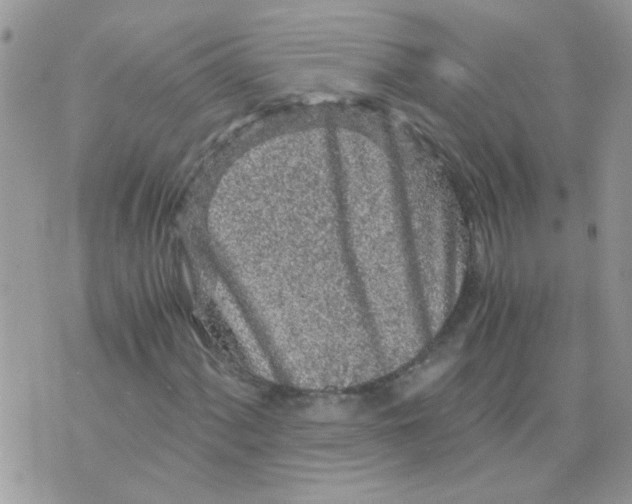 X0000073751060200608311929