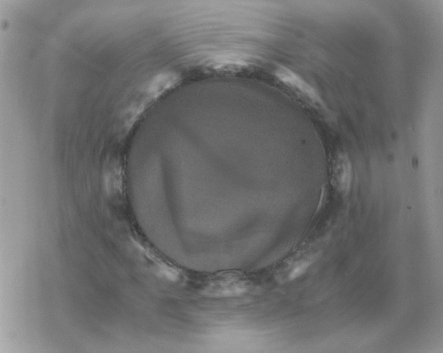 X0000073751061200608311929