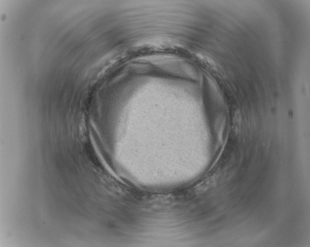 X0000073751062200608311929