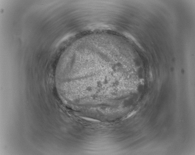 X0000073751063200608311929