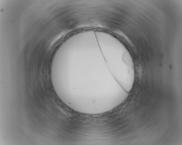 X0000073751064200608311929