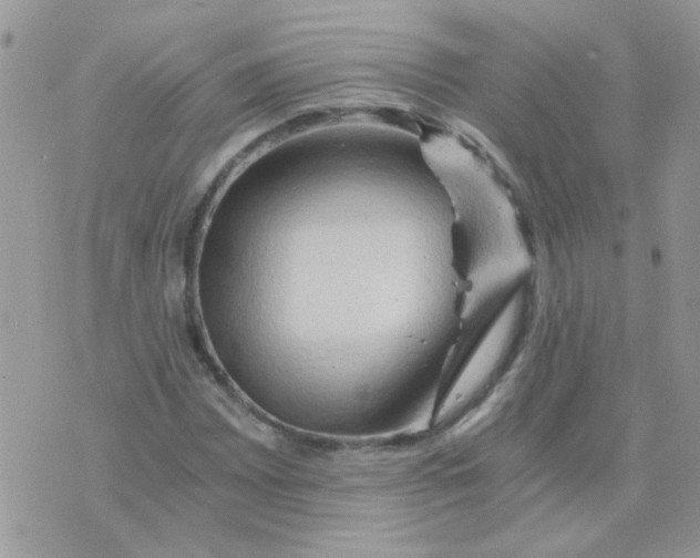 X0000073751065200608311929