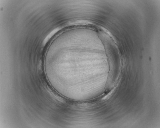 X0000073751066200608311929