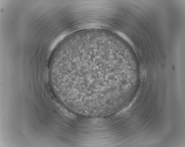 X0000073751067200608311929