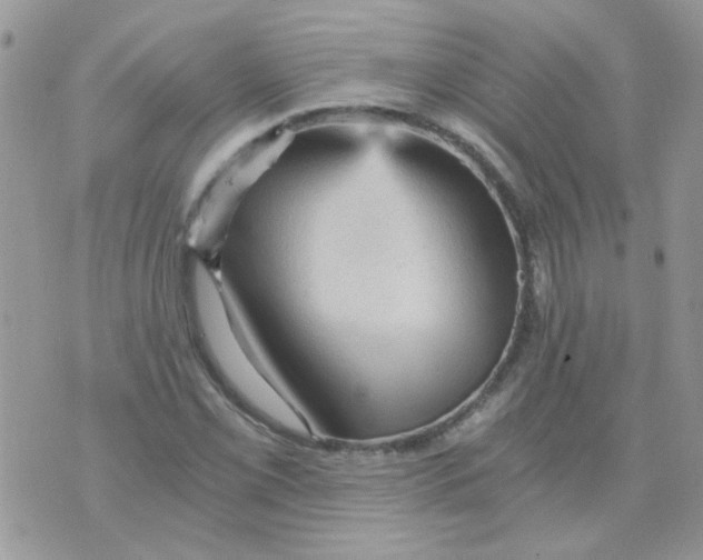 X0000073751069200608311929