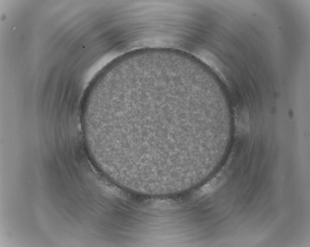 X0000073751070200608311929