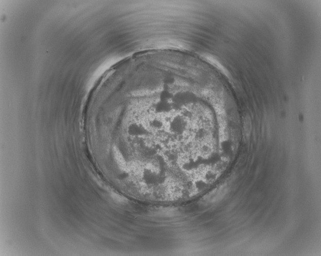 X0000073751071200608311929