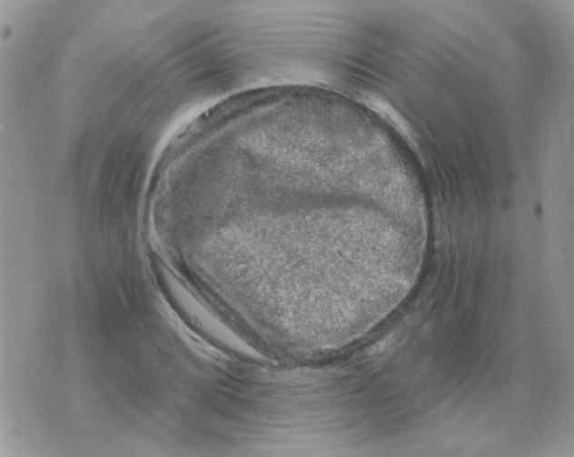 X0000073751072200608311929